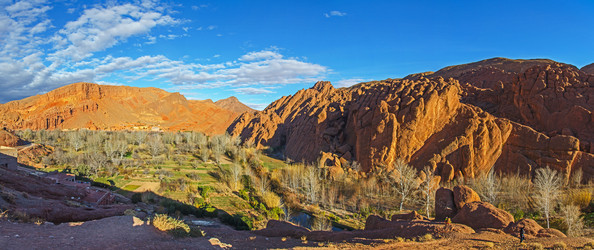 Similar image 11452005