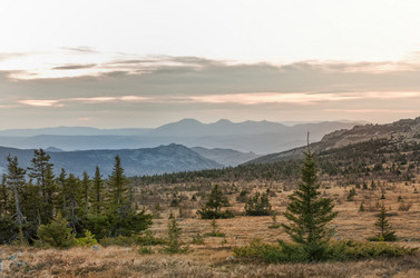 Similar image 11441158