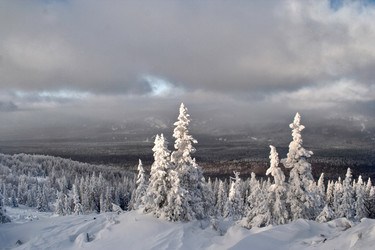 Similar image 11441159