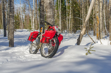 Similar image 11442842