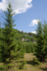 Similar image 11441160