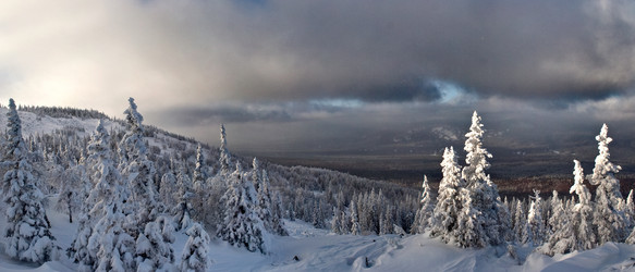 Similar image 11441161