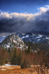 Similar image 11442843