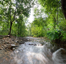 Similar image 11441166