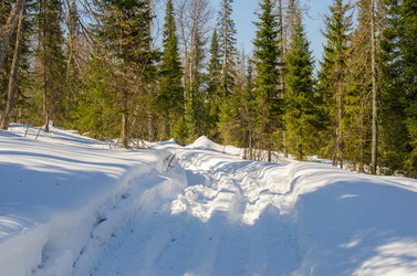 Similar image 11435391