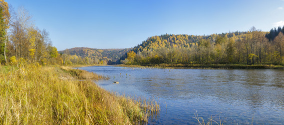 Similar image 11441175