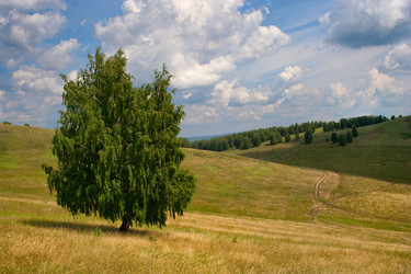 Similar image 11441177