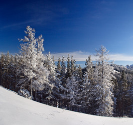 Similar image 11442845