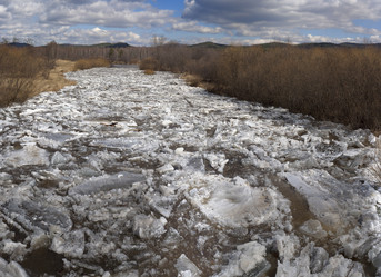 Similar image 11432291