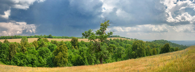 Similar image 11441199