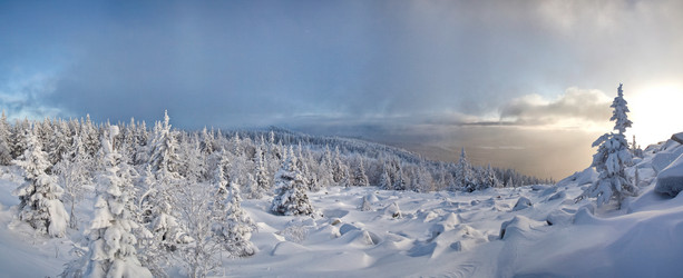 Similar image 11441215