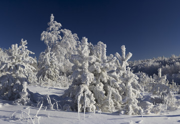 Similar image 11442849