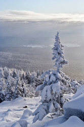 Similar image 11441217