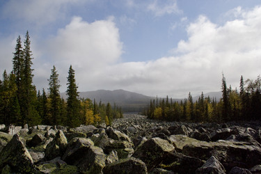 Similar image 11441218