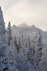 Similar image 11441219