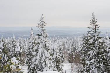 Similar image 11435411