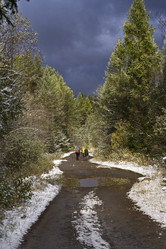 Similar image 11435146