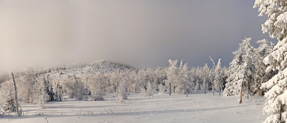 Similar image 11441234