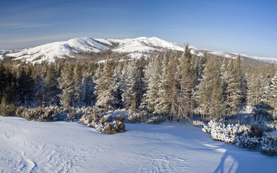 Similar image 11442853