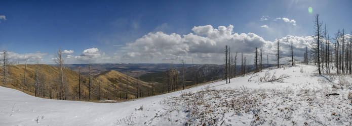 Similar image 11441237