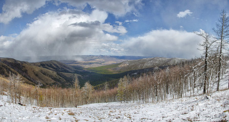 Similar image 11441241