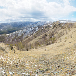 Similar image 11442821