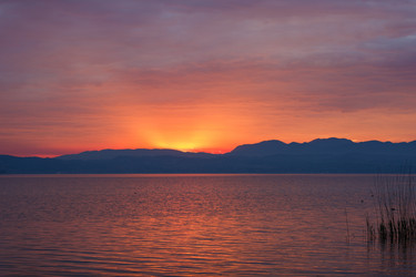 Similar image 11432150