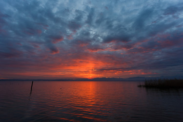 Similar image 11432153