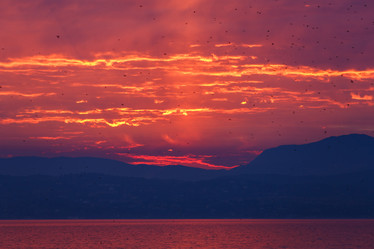 Similar image 11432154