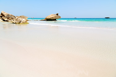 Similar image 11447063