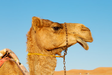 Similar image 11447078