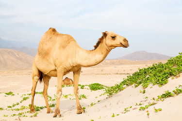 Similar image 11447079