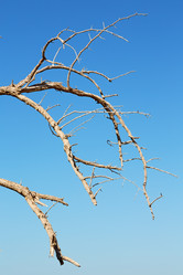 Similar image 11447102