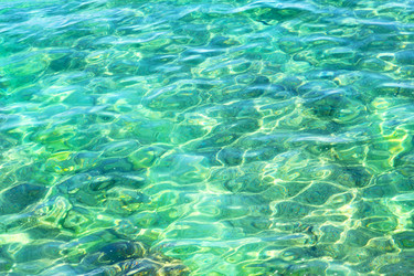 Similar image 11447104