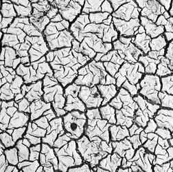 Similar image 11447205