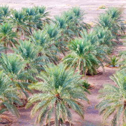 Similar image 11447207