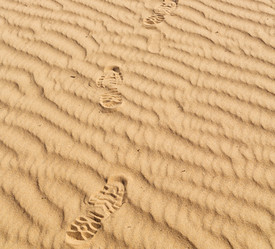 Similar image 11447208