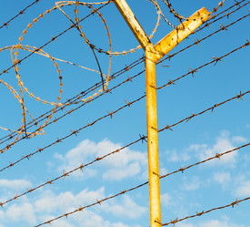 Similar image 11447247