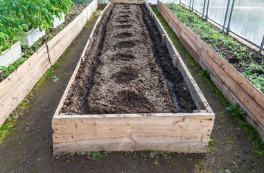 Similar image 11432295