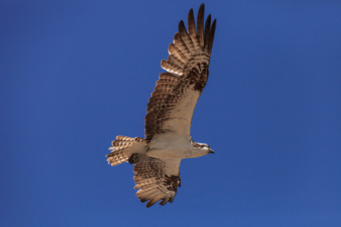 Similar image 11435518