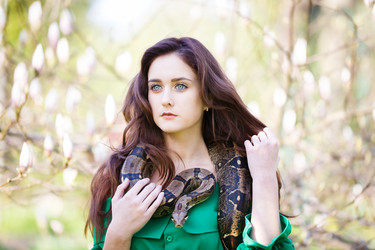 Similar image 11433125