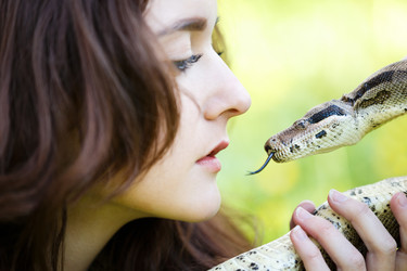 Similar image 11433134