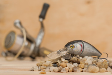 Similar image 11432953