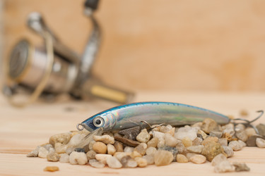 Similar image 11432954