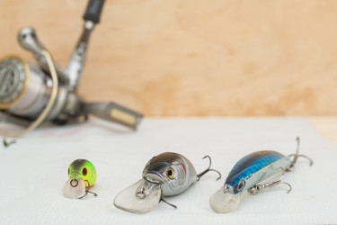 Similar image 11432956