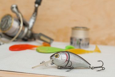 Similar image 11432930