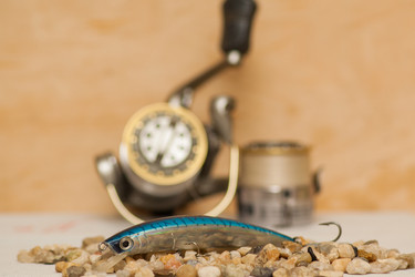 Similar image 11432934