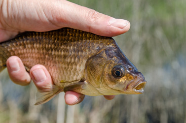 Similar image 11432900