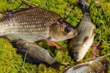 Similar image 11432901