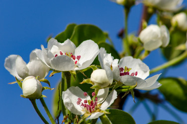 Similar image 11432904